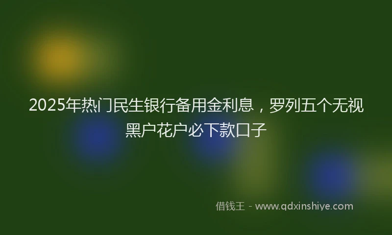 2025年热门民生银行备用金利息，罗列五个无视黑户花户必下款口子
