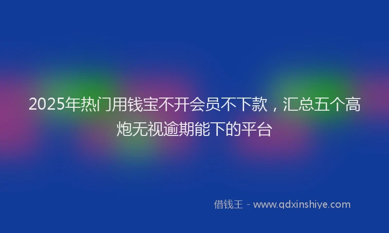 2025年热门用钱宝不开会员不下款，汇总五个高炮无视逾期能下的平台