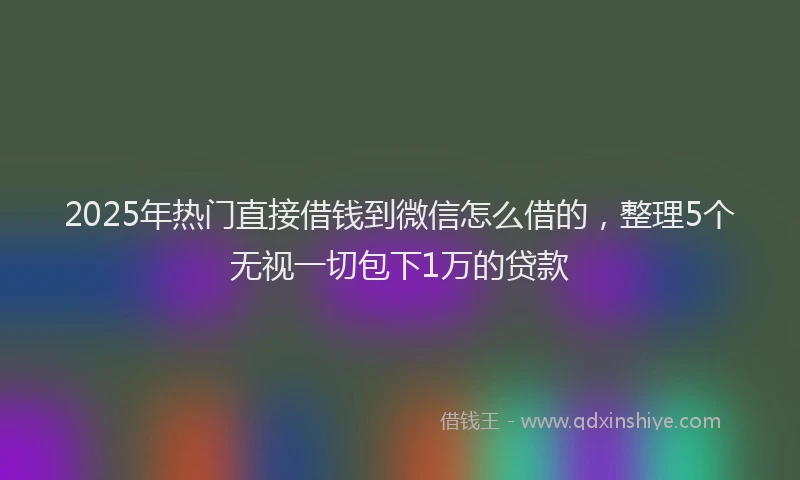 2025年热门直接借钱到微信怎么借的，整理5个无视一切包下1万的贷款