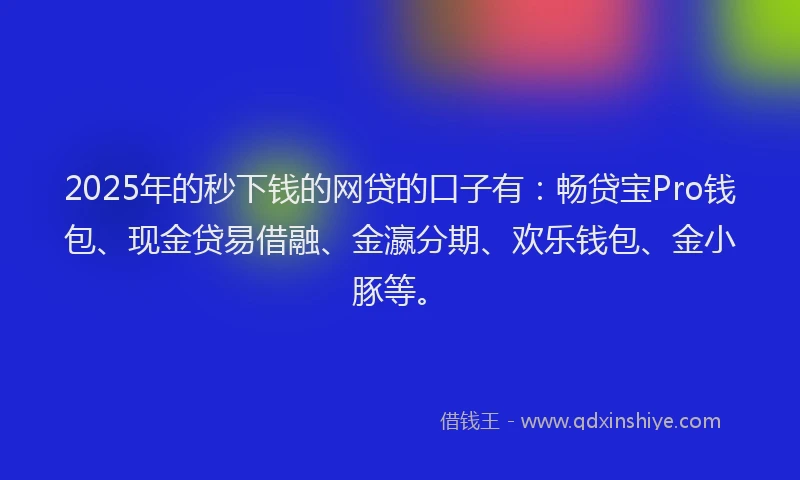 2025年的秒下钱的网贷的口子有：畅贷宝Pro钱包、现金贷易借融、金瀛分期、欢乐钱包、金小豚等。
