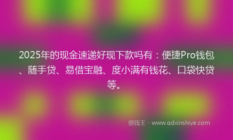 2025年的现金速递好现下款吗有：便捷Pro钱包、随手贷、易借宝融、度小满有钱花、口袋快贷等。