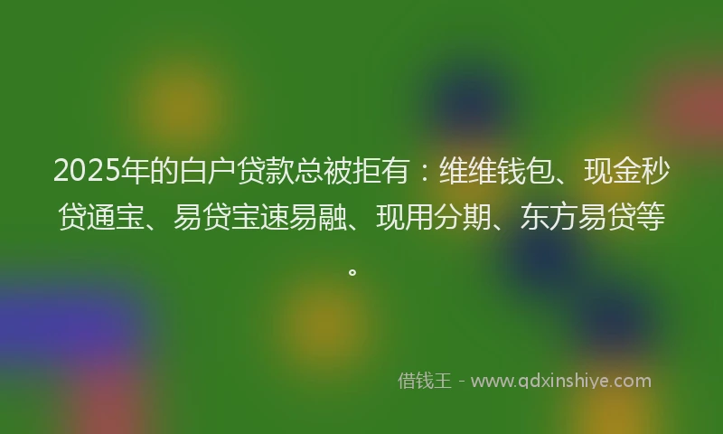 2025年的白户贷款总被拒有：维维钱包、现金秒贷通宝、易贷宝速易融、现用分期、东方易贷等。