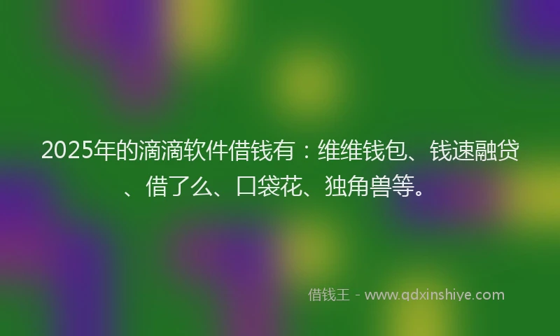 2025年的滴滴软件借钱有：维维钱包、钱速融贷、借了么、口袋花、独角兽等。
