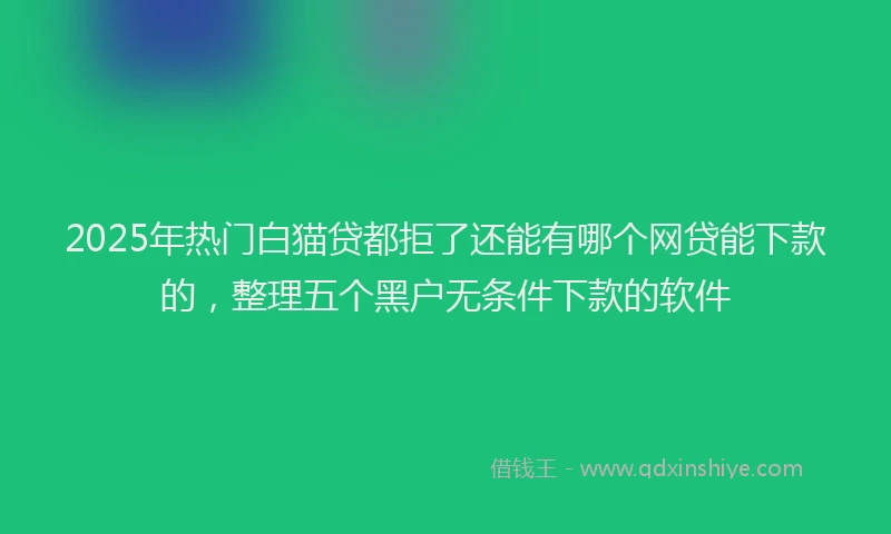 2025年热门白猫贷都拒了还能有哪个网贷能下款的，整理五个黑户无条件下款的软件