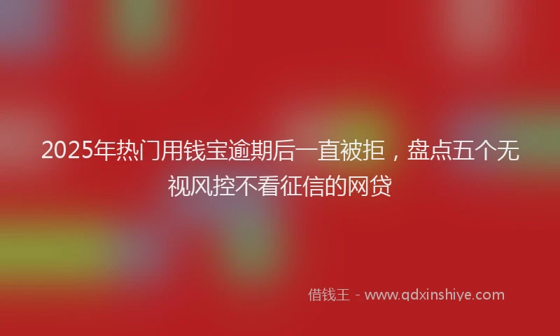2025年热门用钱宝逾期后一直被拒，盘点五个无视风控不看征信的网贷
