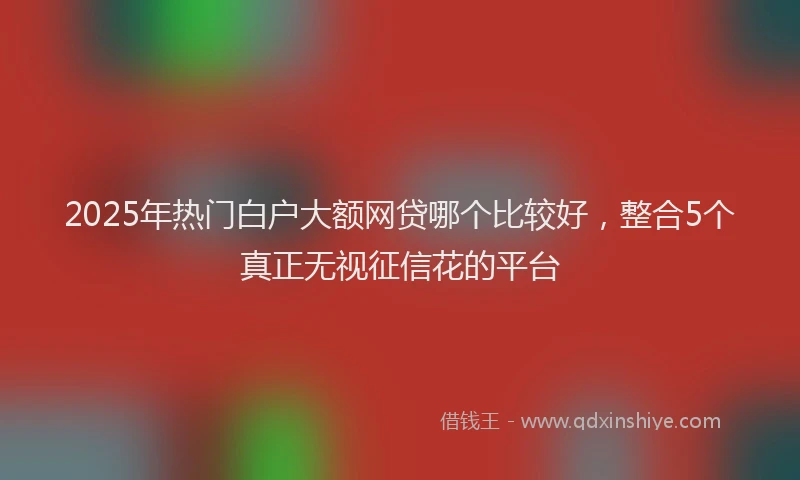 2025年热门白户大额网贷哪个比较好，整合5个真正无视征信花的平台