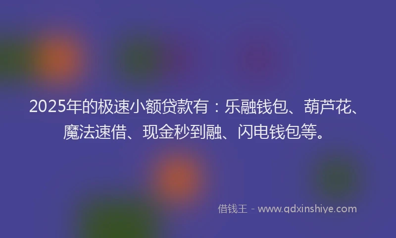 2025年的极速小额贷款有：乐融钱包、葫芦花、魔法速借、现金秒到融、闪电钱包等。