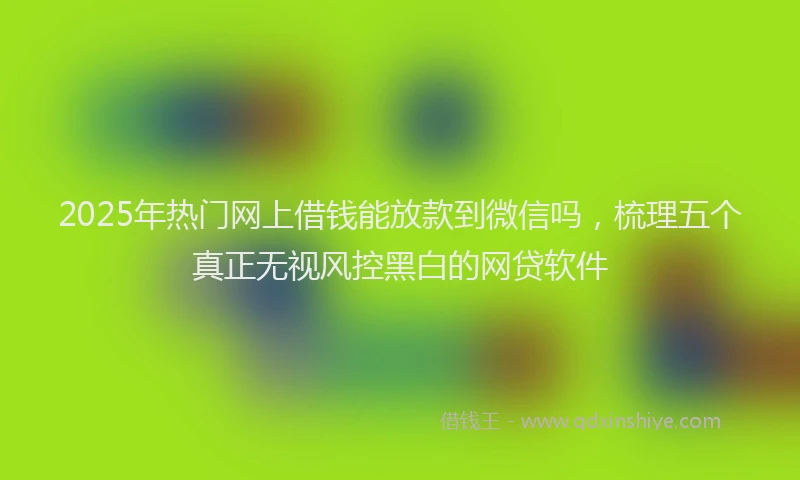 2025年热门网上借钱能放款到微信吗，梳理五个真正无视风控黑白的网贷软件