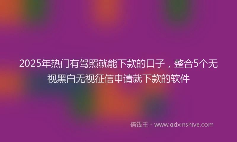 2025年热门有驾照就能下款的口子，整合5个无视黑白无视征信申请就下款的软件