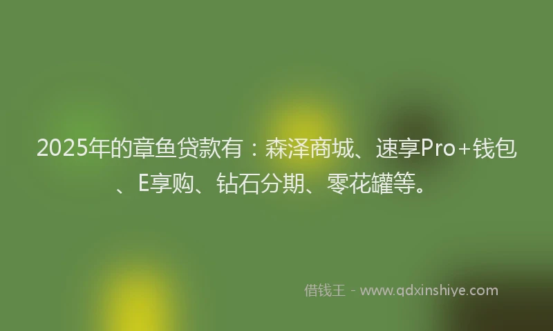 2025年的章鱼贷款有：森泽商城、速享Pro+钱包、E享购、钻石分期、零花罐等。