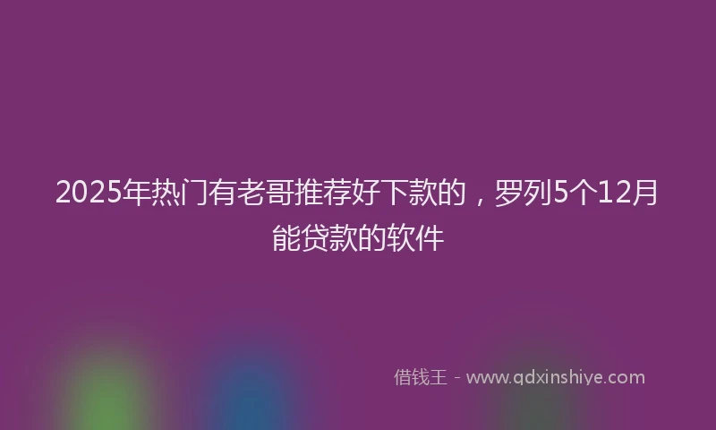 2025年热门有老哥推荐好下款的，罗列5个12月能贷款的软件