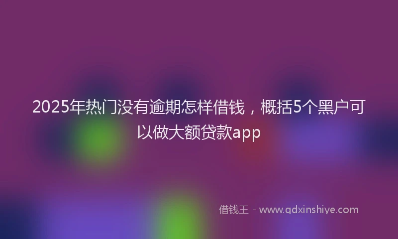 2025年热门没有逾期怎样借钱，概括5个黑户可以做大额贷款app