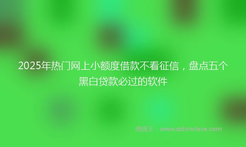 2025年热门网上小额度借款不看征信，盘点五个黑白贷款必过的软件