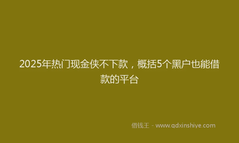 2025年热门现金侠不下款，概括5个黑户也能借款的平台