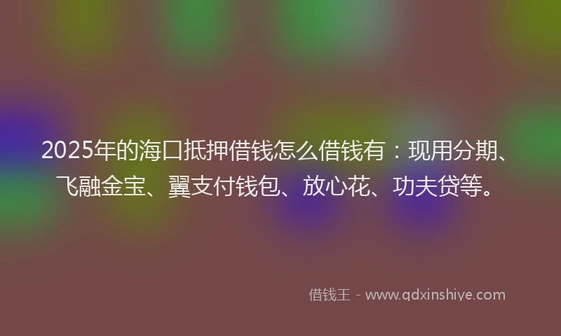 2025年的海口抵押借钱怎么借钱有：现用分期、飞融金宝、翼支付钱包、放心花、功夫贷等。