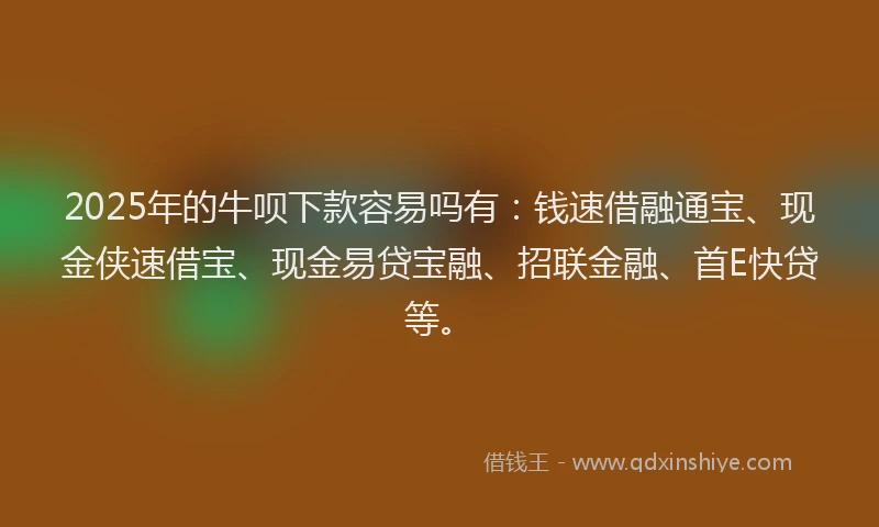 2025年的牛呗下款容易吗有：钱速借融通宝、现金侠速借宝、现金易贷宝融、招联金融、首E快贷等。