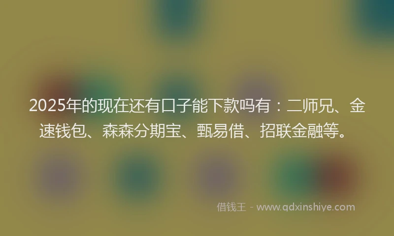 2025年的现在还有口子能下款吗有：二师兄、金速钱包、森森分期宝、甄易借、招联金融等。