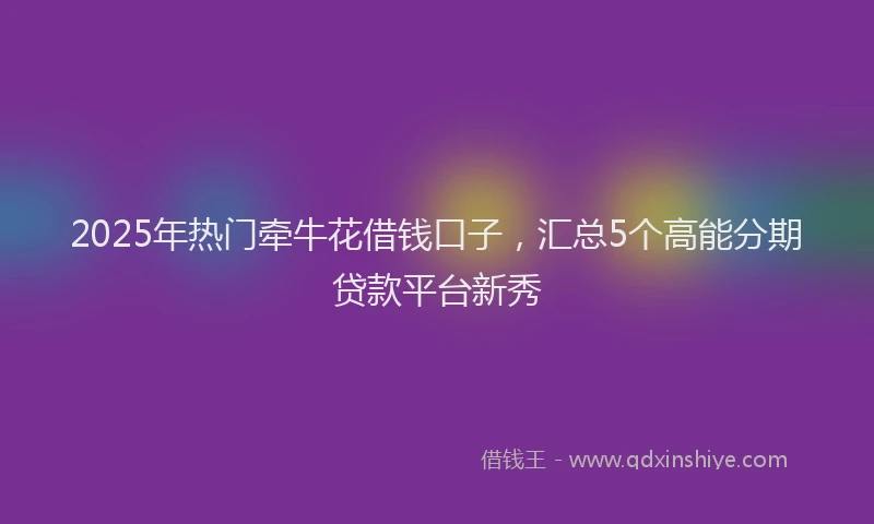 2025年热门牵牛花借钱口子，汇总5个高能分期贷款平台新秀