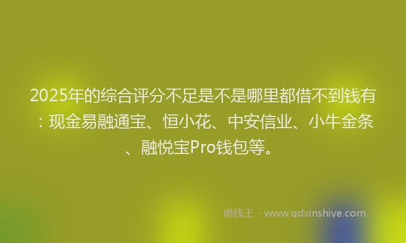 2025年的综合评分不足是不是哪里都借不到钱有：现金易融通宝、恒小花、中安信业、小牛金条、融悦宝Pro钱包等。