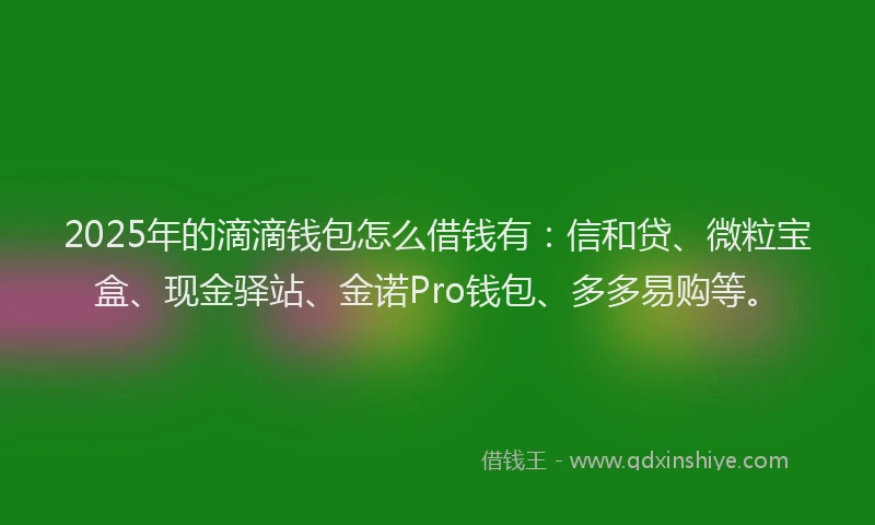 2025年的滴滴钱包怎么借钱有：信和贷、微粒宝盒、现金驿站、金诺Pro钱包、多多易购等。