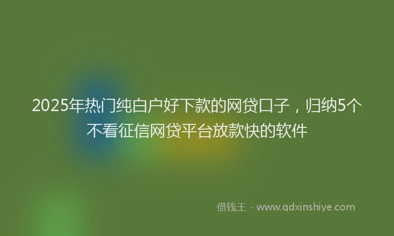 2025年热门纯白户好下款的网贷口子，归纳5个不看征信网贷平台放款快的软件