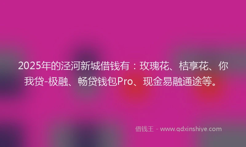 2025年的泾河新城借钱有：玫瑰花、桔享花、你我贷-极融、畅贷钱包Pro、现金易融通途等。