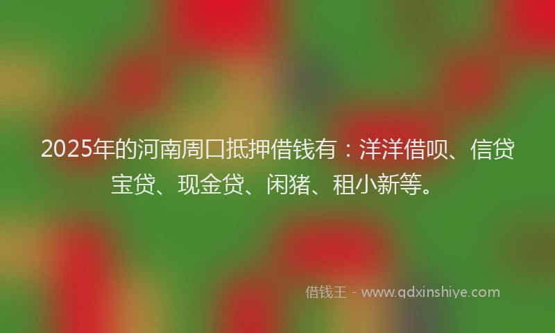 2025年的河南周口抵押借钱有：洋洋借呗、信贷宝贷、现金贷、闲猪、租小新等。