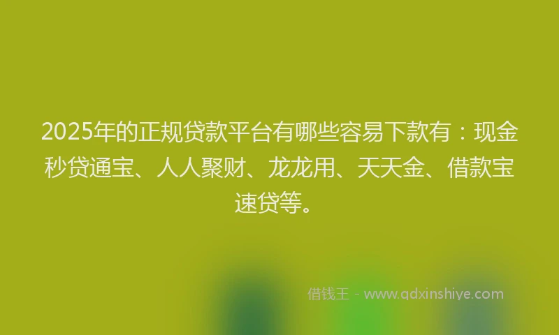 2025年的正规贷款平台有哪些容易下款有：现金秒贷通宝、人人聚财、龙龙用、天天金、借款宝速贷等。