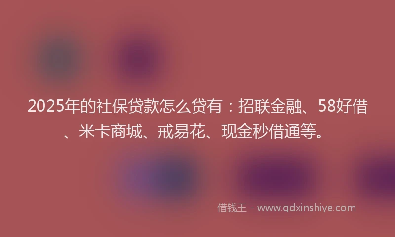 2025年的社保贷款怎么贷有：招联金融、58好借、米卡商城、戒易花、现金秒借通等。