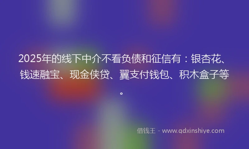 2025年的线下中介不看负债和征信有：银杏花、钱速融宝、现金侠贷、翼支付钱包、积木盒子等。