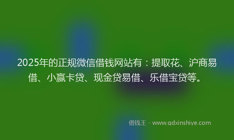 2025年的正规微信借钱网站有：提取花、沪商易借、小赢卡贷、现金贷易借、乐借宝贷等。