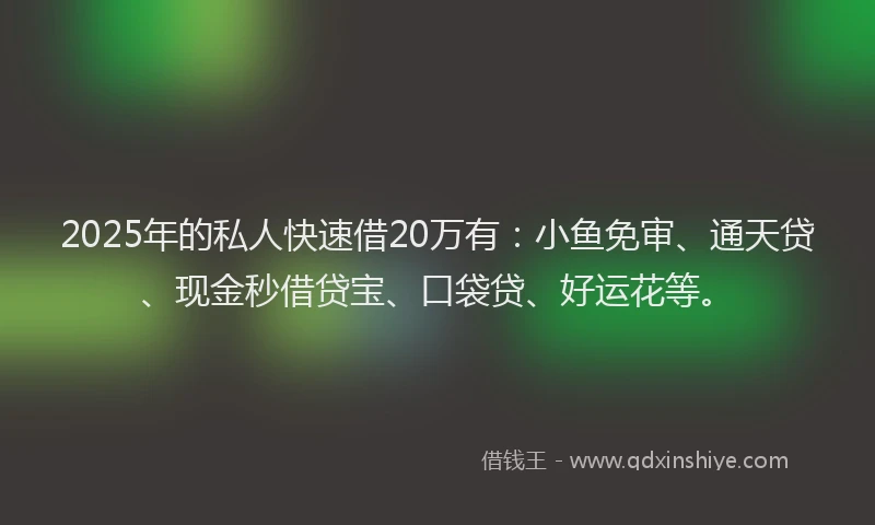 2025年的私人快速借20万有：小鱼免审、通天贷、现金秒借贷宝、口袋贷、好运花等。