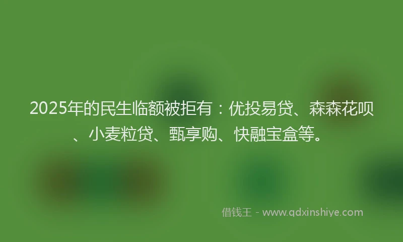 2025年的民生临额被拒有：优投易贷、森森花呗、小麦粒贷、甄享购、快融宝盒等。