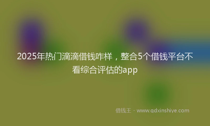 2025年热门滴滴借钱咋样，整合5个借钱平台不看综合评估的app
