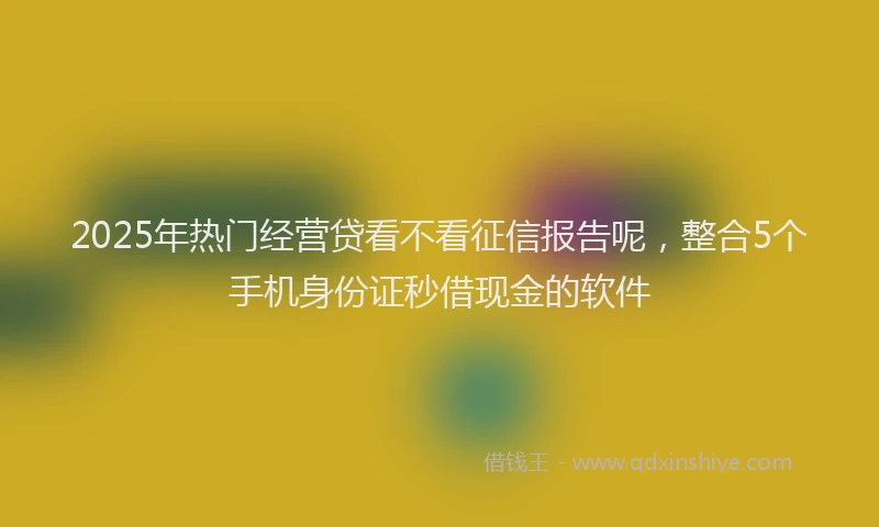 2025年热门经营贷看不看征信报告呢，整合5个手机身份证秒借现金的软件