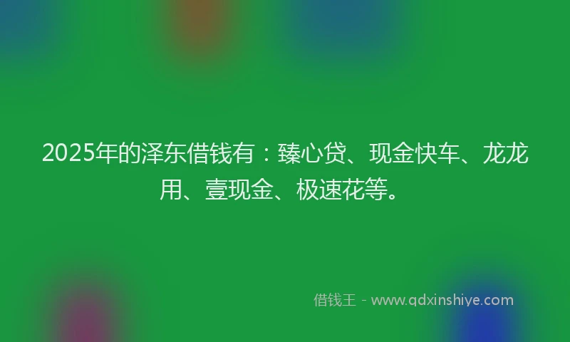 2025年的泽东借钱有：臻心贷、现金快车、龙龙用、壹现金、极速花等。