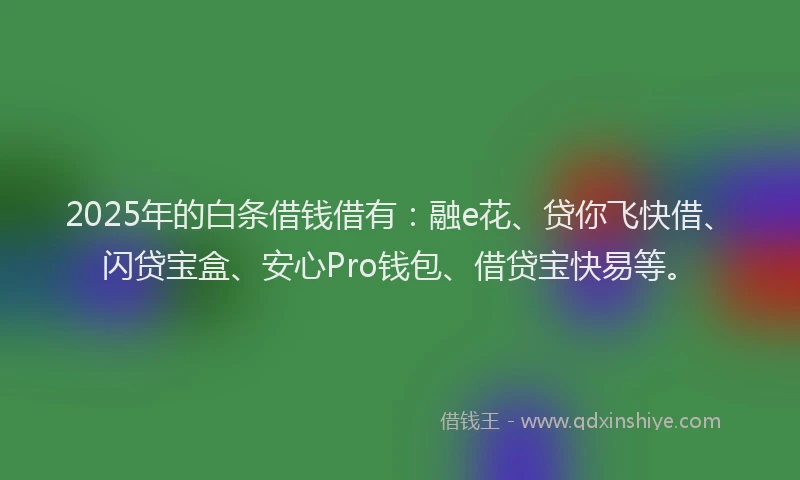 2025年的白条借钱借有：融e花、贷你飞快借、闪贷宝盒、安心Pro钱包、借贷宝快易等。