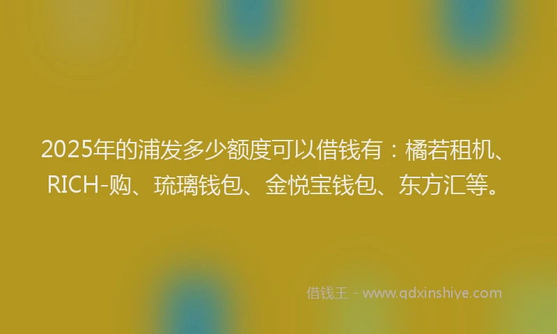 2025年的浦发多少额度可以借钱有：橘若租机、RICH-购、琉璃钱包、金悦宝钱包、东方汇等。