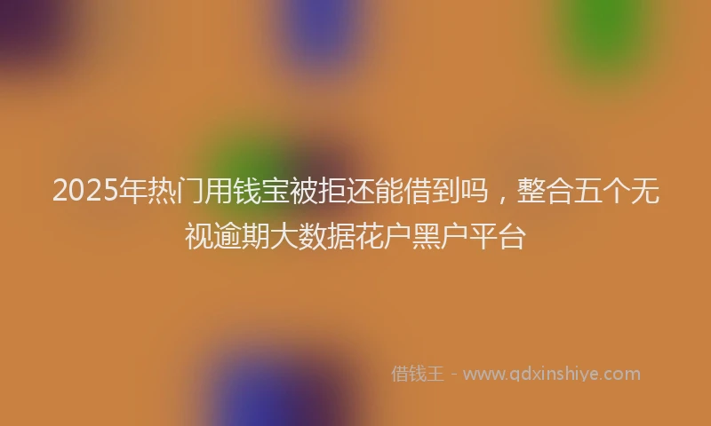 2025年热门用钱宝被拒还能借到吗，整合五个无视逾期大数据花户黑户平台