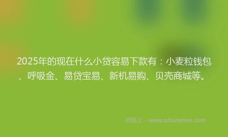 2025年的现在什么小贷容易下款有：小麦粒钱包、呼吸金、易贷宝易、新机易购、贝壳商城等。