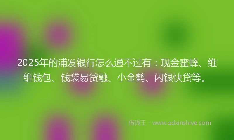 2025年的浦发银行怎么通不过有：现金蜜蜂、维维钱包、钱袋易贷融、小金鹤、闪银快贷等。