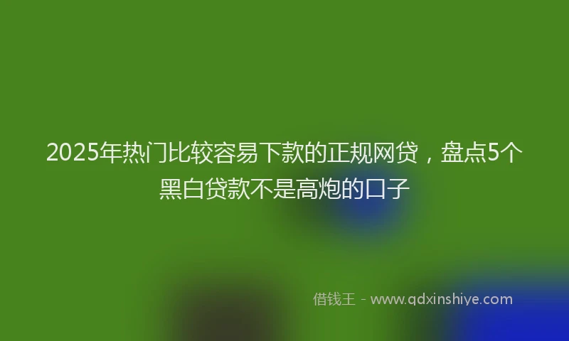 2025年热门比较容易下款的正规网贷，盘点5个黑白贷款不是高炮的口子
