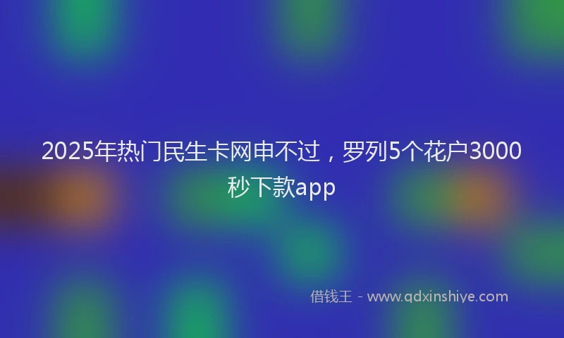 2025年热门民生卡网申不过，罗列5个花户3000秒下款app