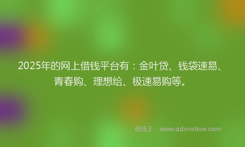2025年的网上借钱平台有：金叶贷、钱袋速易、青春购、理想给、极速易购等。
