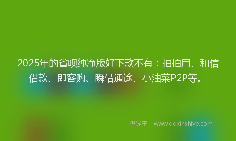 2025年的省呗纯净版好下款不有：拍拍用、和信借款、即客购、瞬借通途、小油菜P2P等。