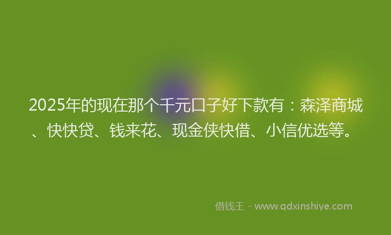 2025年的现在那个千元口子好下款有：森泽商城、快快贷、钱来花、现金侠快借、小信优选等。