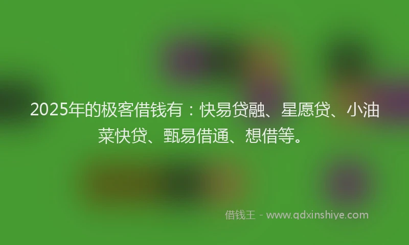 2025年的极客借钱有：快易贷融、星愿贷、小油菜快贷、甄易借通、想借等。