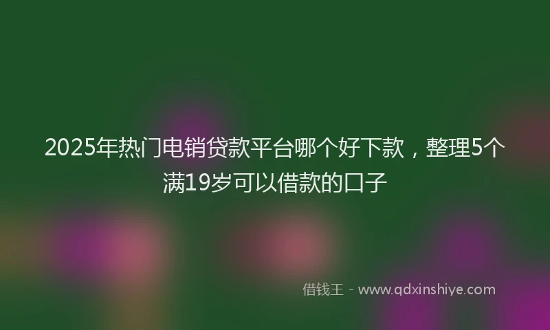 2025年热门电销贷款平台哪个好下款，整理5个满19岁可以借款的口子