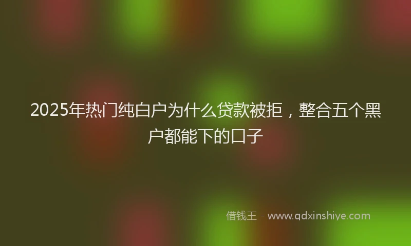 2025年热门纯白户为什么贷款被拒，整合五个黑户都能下的口子