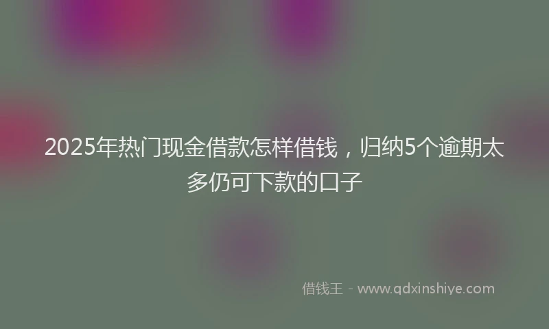 2025年热门现金借款怎样借钱，归纳5个逾期太多仍可下款的口子